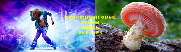 хмурый Богородск