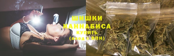 винт Богданович