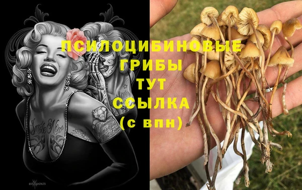 винт Богданович