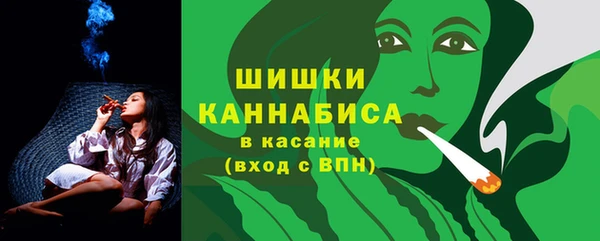 хмурый Богородск
