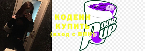хмурый Богородск