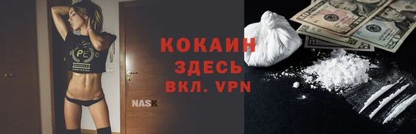 винт Богданович