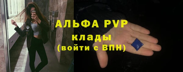 винт Богданович